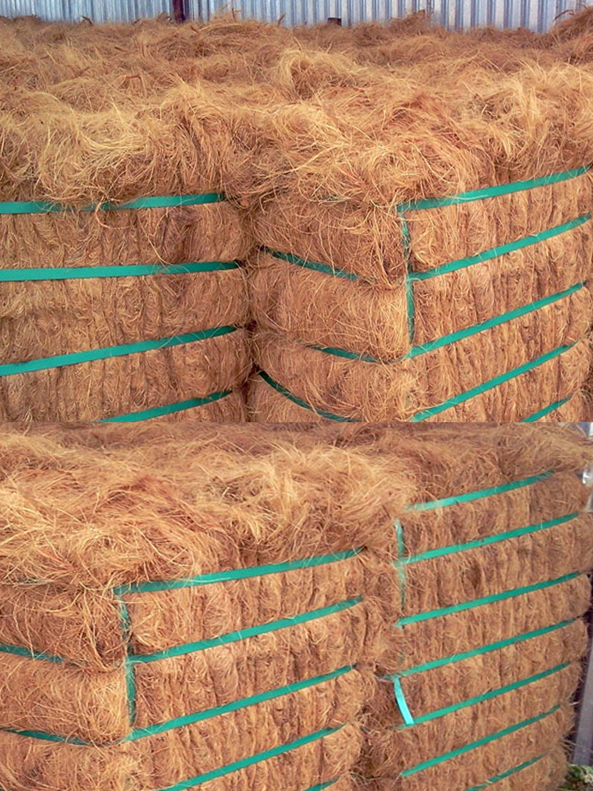 IMG-PRODUCT
