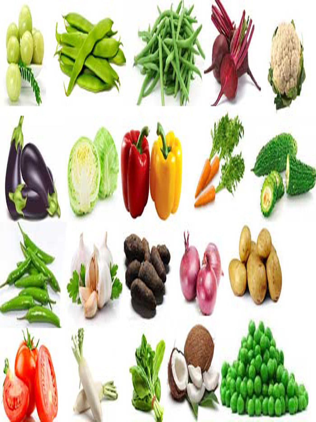 IMG-PRODUCT